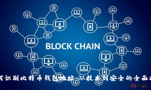 如何识别比特币钱包地址：从技术到安全的全面指南