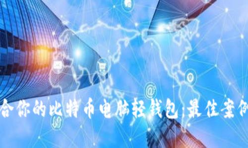如何选择适合你的比特币电脑轻钱包：最佳案例与实用技巧