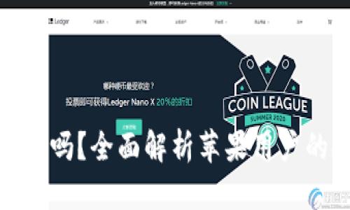 使用小狐狸钱包安全吗？全面解析苹果用户的安全性与隐私保护