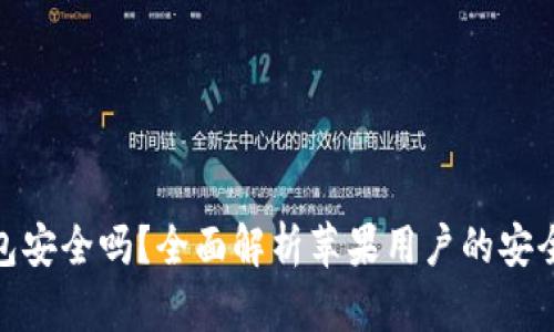 使用小狐狸钱包安全吗？全面解析苹果用户的安全性与隐私保护