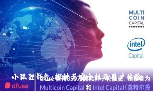 小狐狸钱包：探讨其安全性及用户体验