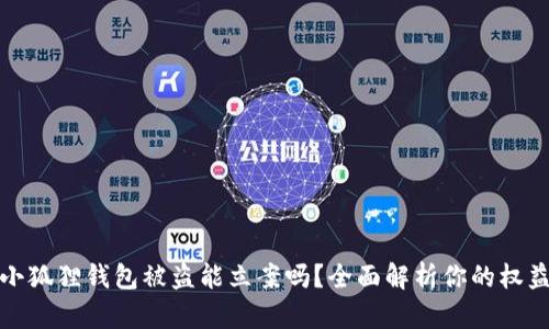小狐狸钱包被盗能立案吗？全面解析你的权益