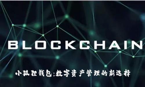 小狐狸钱包：数字资产管理的新选择