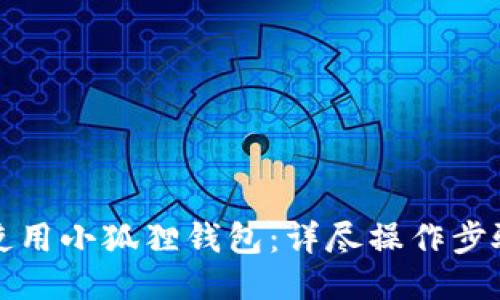 如何使用小狐狸钱包：详尽操作步骤指南