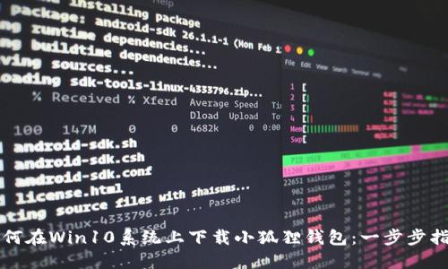 如何在Win10系统上下载小狐狸钱包：一步步指南