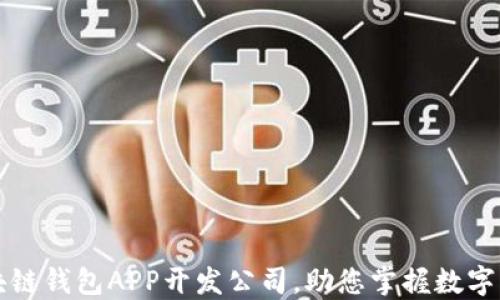 
优秀区块链钱包APP开发公司，助您掌握数字资产未来