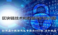 如何在小狐狸钱包中添加BSC链：详细指南