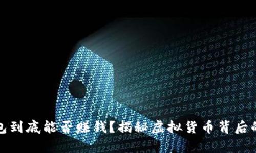 比特币钱包到底能否赚钱？揭秘虚拟货币背后的财富密码