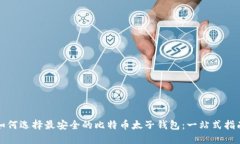 如何选择最安全的比特币太子钱包：一站式指南
