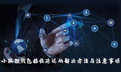 小狐狸钱包接收延迟的解决方法与注意事项