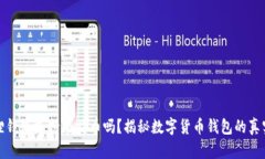 小狐狸钱包支持比特币吗？揭秘数字货币钱包的
