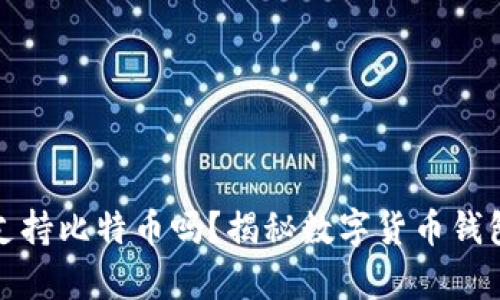 小狐狸钱包支持比特币吗？揭秘数字货币钱包的真实情况