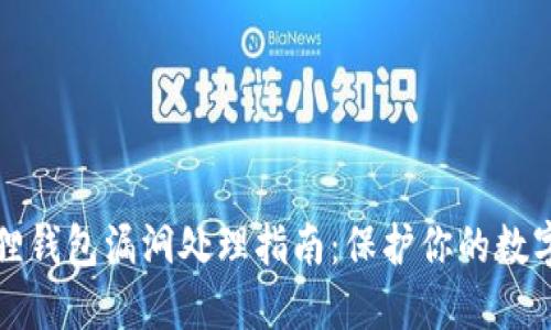 小狐狸钱包漏洞处理指南：保护你的数字资产