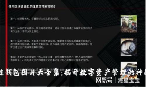 区块链钱包图片大全集：揭开数字资产管理的神秘面纱