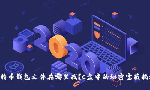 比特币钱包文件在哪里找？C盘中的秘密宝藏揭秘！