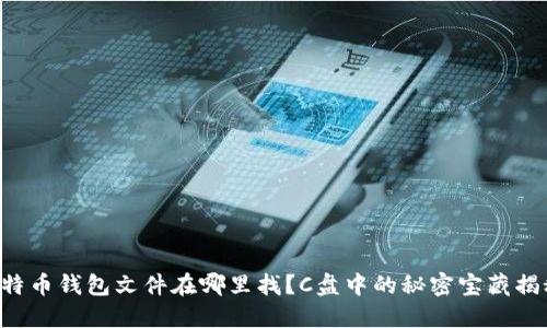 比特币钱包文件在哪里找？C盘中的秘密宝藏揭秘！