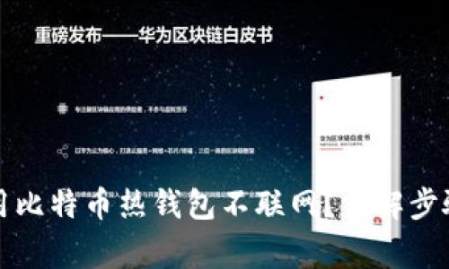 如何安全使用比特币热钱包不联网？详解步骤与注意事项