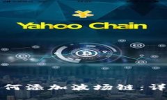 小狐狸钱包如何添加波场链：详细指南与技巧