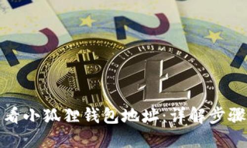 如何查看小狐狸钱包地址：详解步骤与技巧