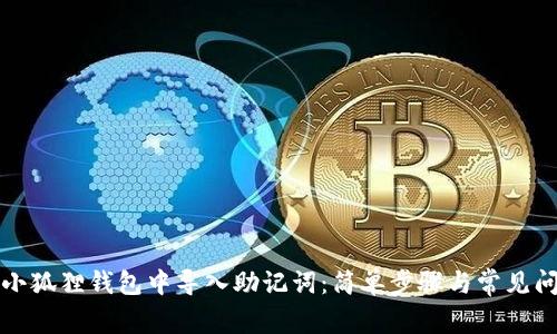如何在小狐狸钱包中导入助记词：简单步骤与常见问题解答