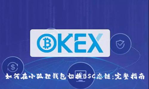 如何在小狐狸钱包切换BSC态链：完整指南