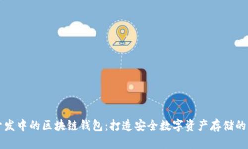 区块链开发中的区块链钱包：打造安全数字资产存储的必备工具
