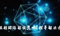 小狐狸钱包数据损坏还能恢复吗？探寻解决方案