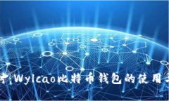 深入探讨：Wylcao比特币钱包的使用与安全性