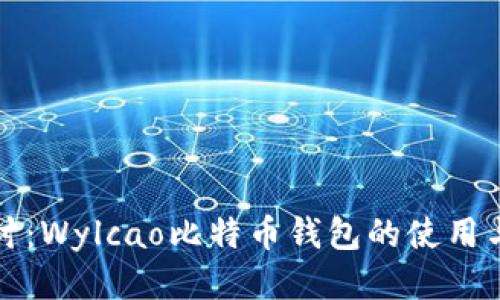 深入探讨：Wylcao比特币钱包的使用与安全性