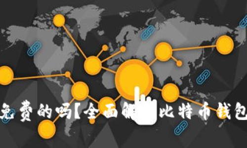 比特币钱包是免费的吗？全面解析比特币钱包的费用和选择
