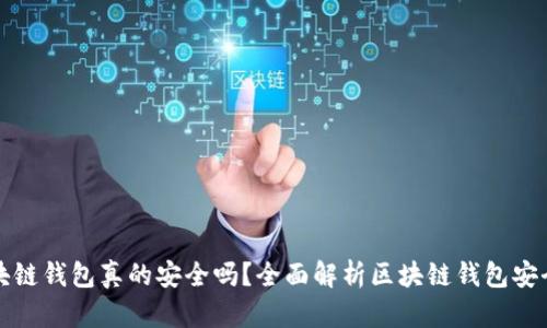 区块链钱包真的安全吗？全面解析区块链钱包安全性