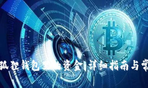 如何提取小狐狸钱包里的资金：详细指南与常见问题解答