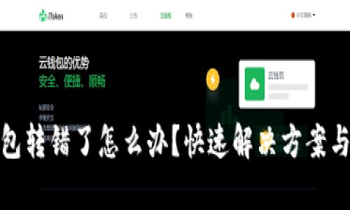 小狐狸钱包转错了怎么办？快速解决方案与预防措施
