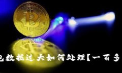 : 比特币钱包数据过大如何处理？一百多G的解决