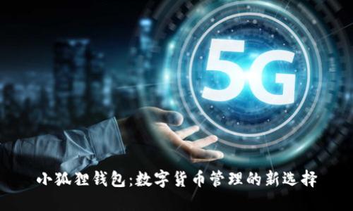 小狐狸钱包：数字货币管理的新选择