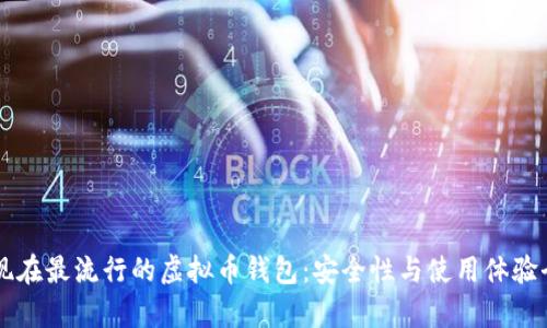中国现在最流行的虚拟币钱包：安全性与使用体验全解析