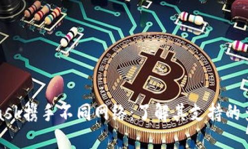 MetaMask携手不同网络：了解其支持的多链环境