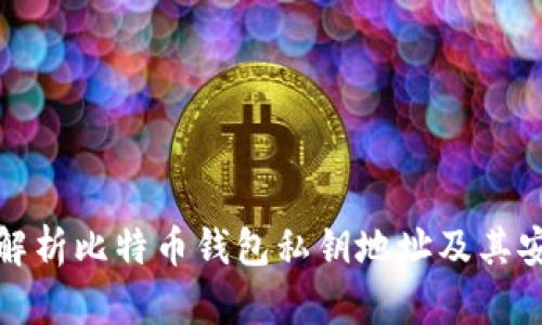 全面解析比特币钱包私钥地址及其安全性