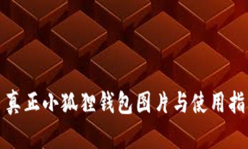 : 真正小狐狸钱包图片与使用指南