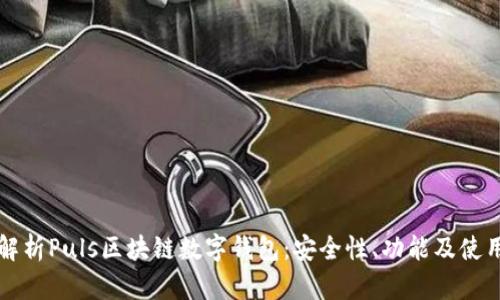 全面解析Puls区块链数字钱包：安全性、功能及使用指南