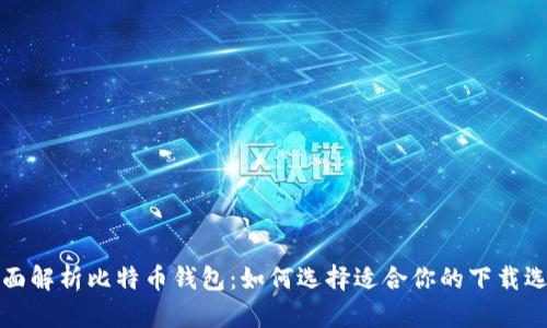 全面解析比特币钱包：如何选择适合你的下载选项