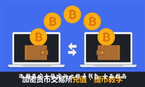 选择最安全稳定的比特币钱包：全面指南