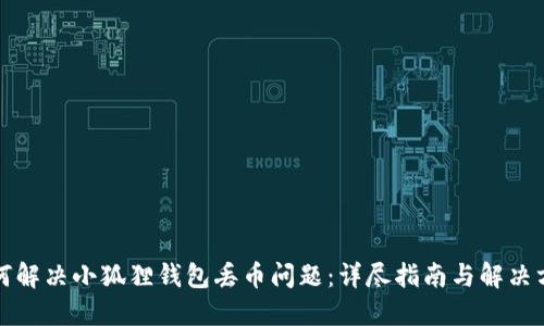 如何解决小狐狸钱包丢币问题：详尽指南与解决方案