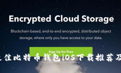 2023年最佳比特币钱包iOS下载推荐及使用指南