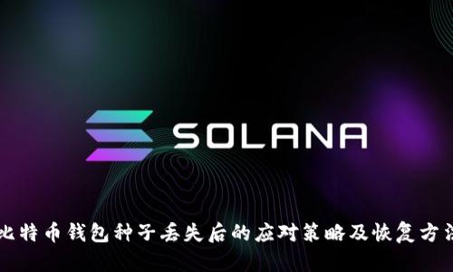 比特币钱包种子丢失后的应对策略及恢复方法