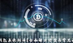 小狐狸钱包未收到币？全面解决方案与常见问题