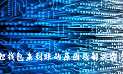 小狐狸钱包未到账的原因及解决方案详解