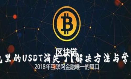 以太坊钱包里的USDT消失了？解决方法与常见问题解析