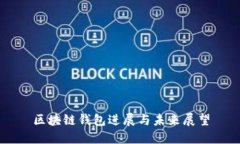 区块链钱包进展与未来展望