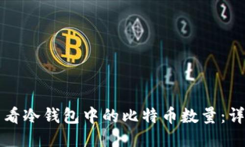 如何查看冷钱包中的比特币数量：详细指南